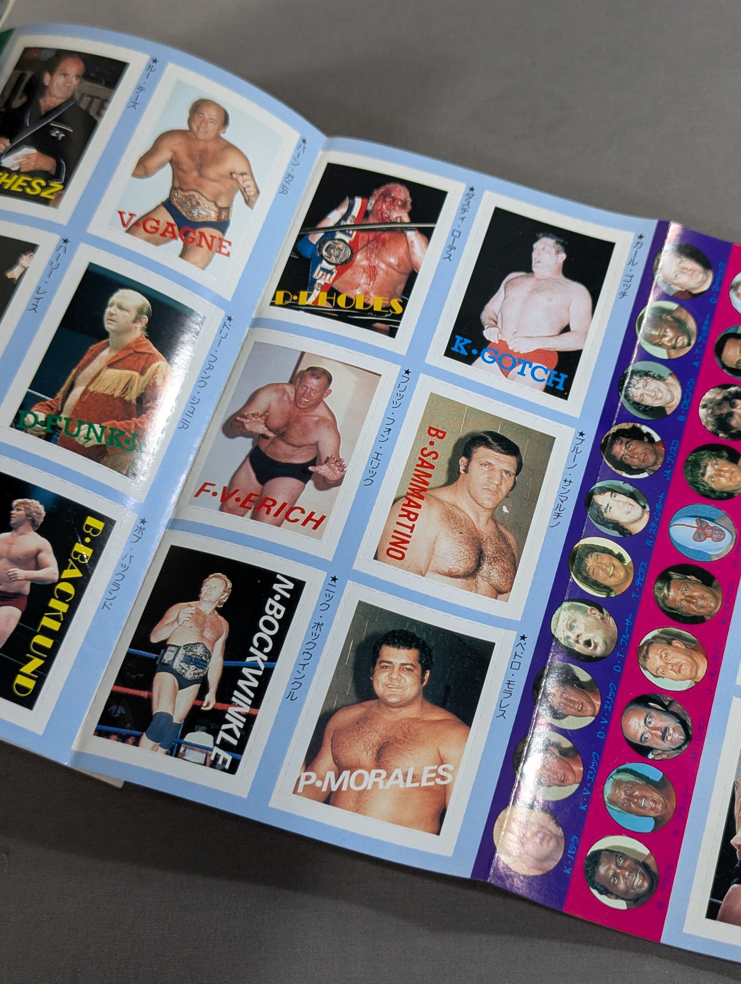 プロレス・オールガイドブック④ プロレスリングUSAザ・ベスト – 闘道館