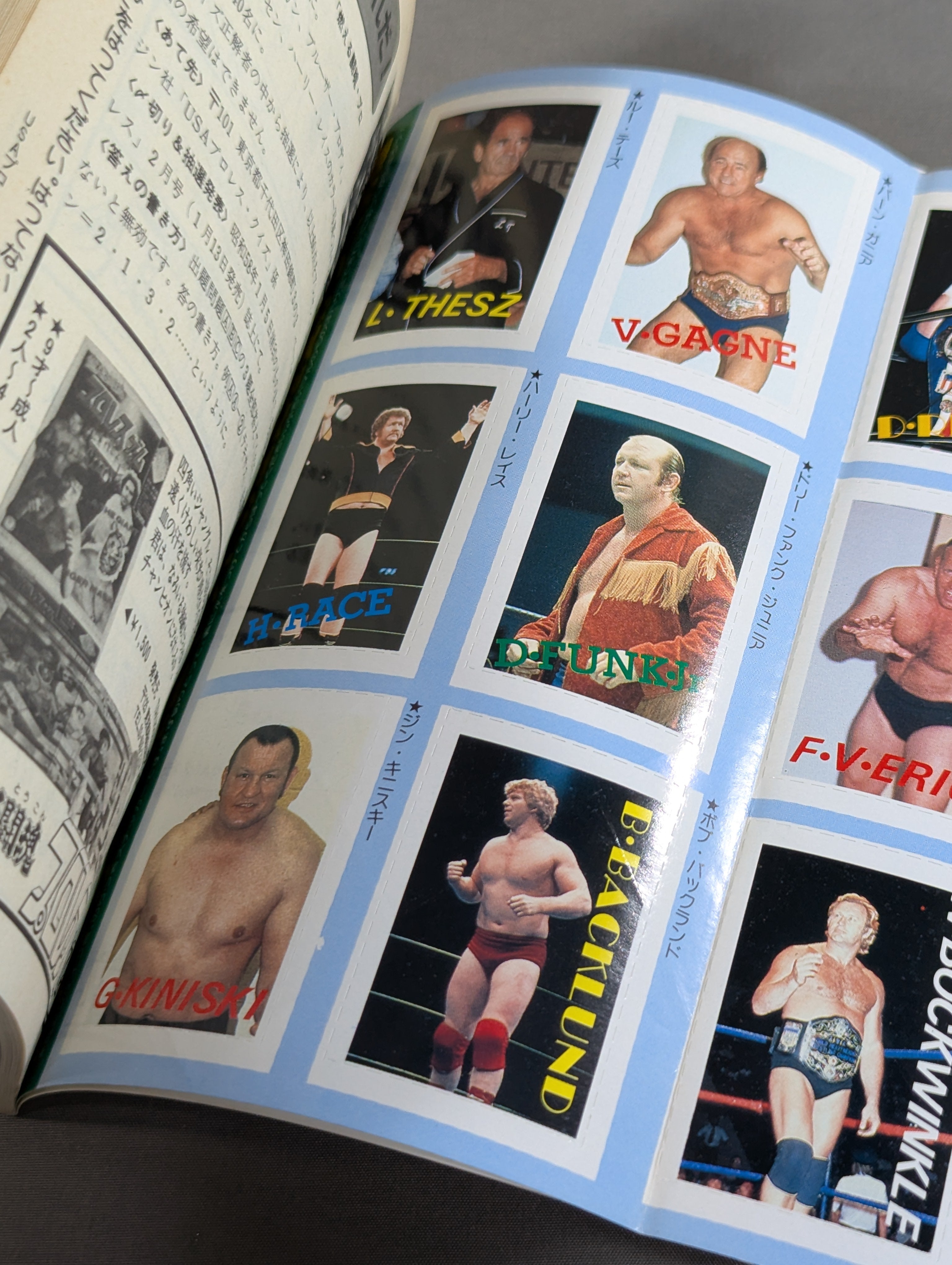 プロレス・オールガイドブック④ プロレスリングUSAザ・ベスト – 闘道館