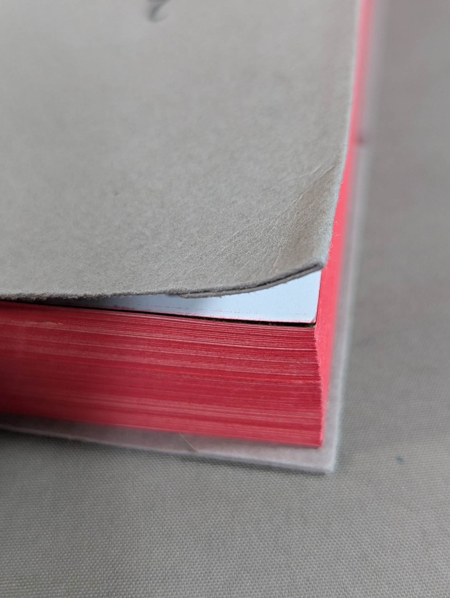 The King of Paper Destruction Shinya Hashimoto  We Loved