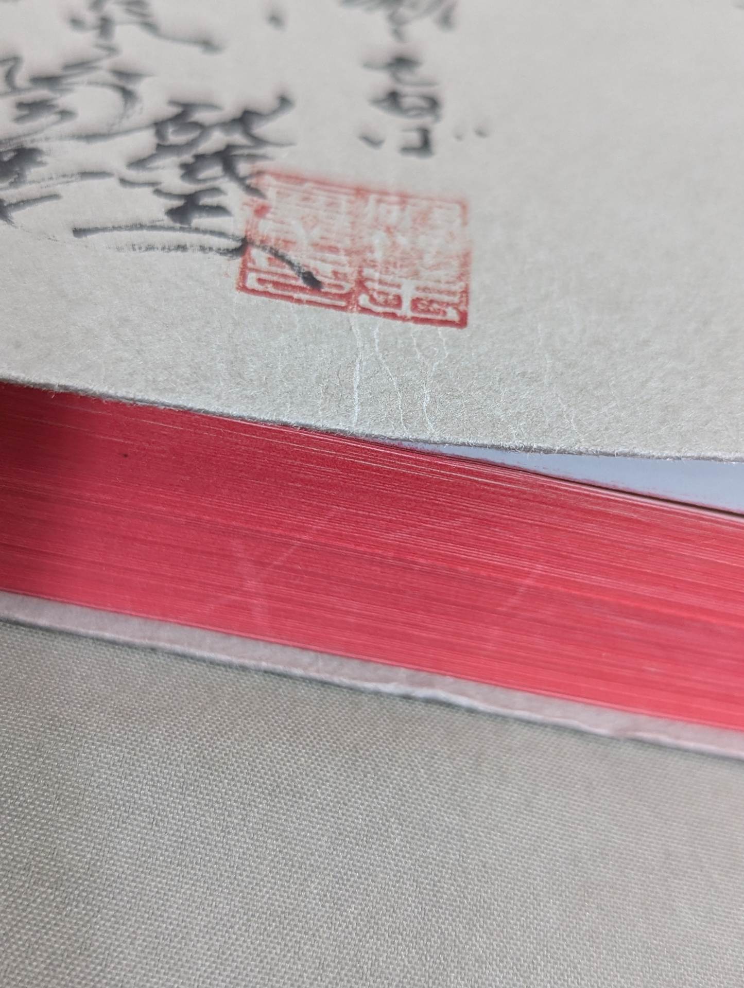 The King of Paper Destruction Shinya Hashimoto  We Loved