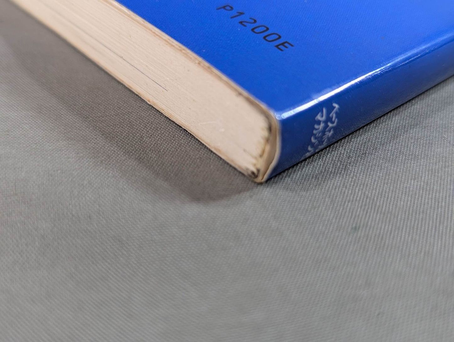 To learn the basics (4) Introduction to boxing