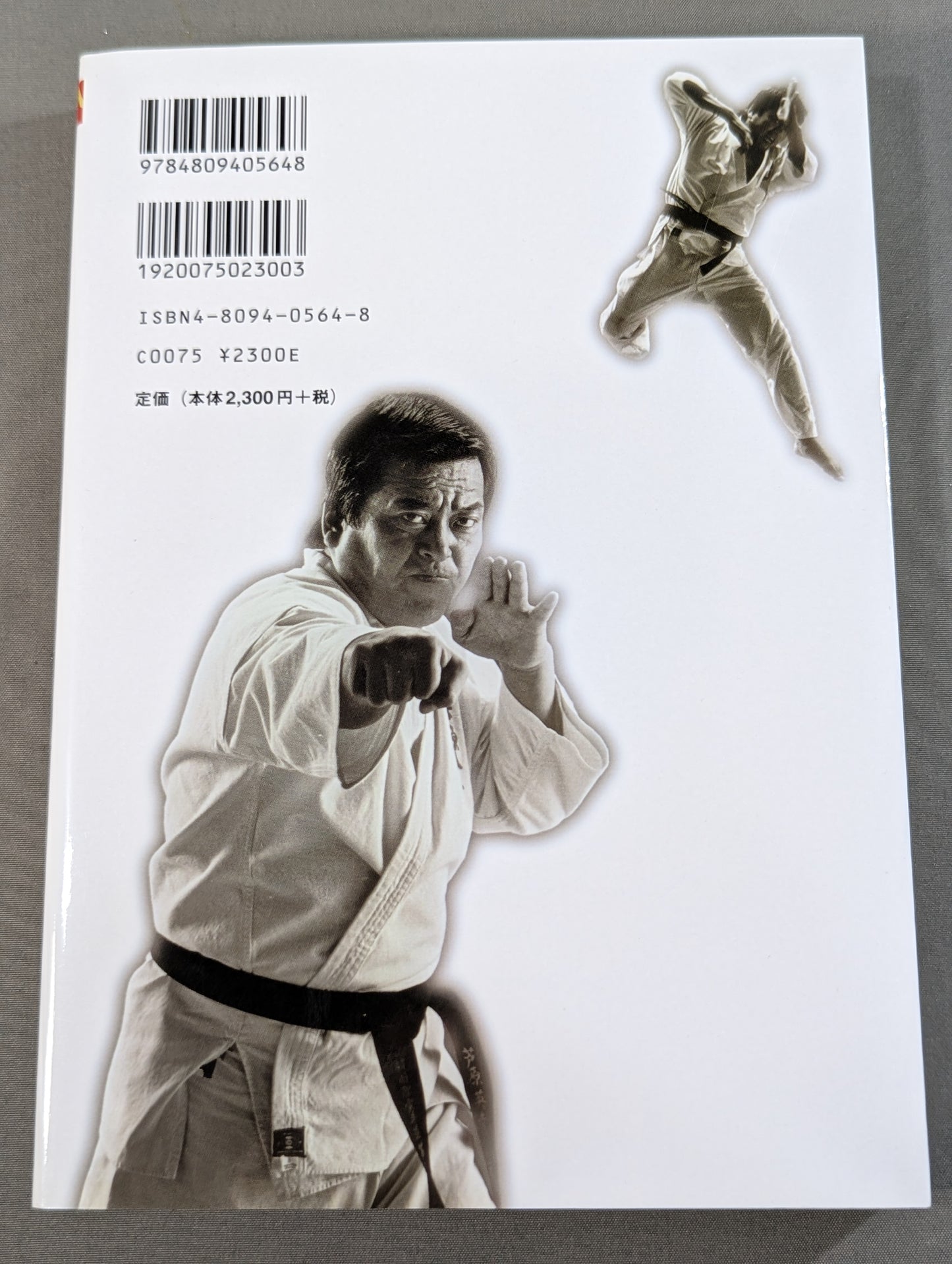 [With DVD] New theory! !! Hideyuki Ashihara The skills and mind of a genius KARATE artist revealed now