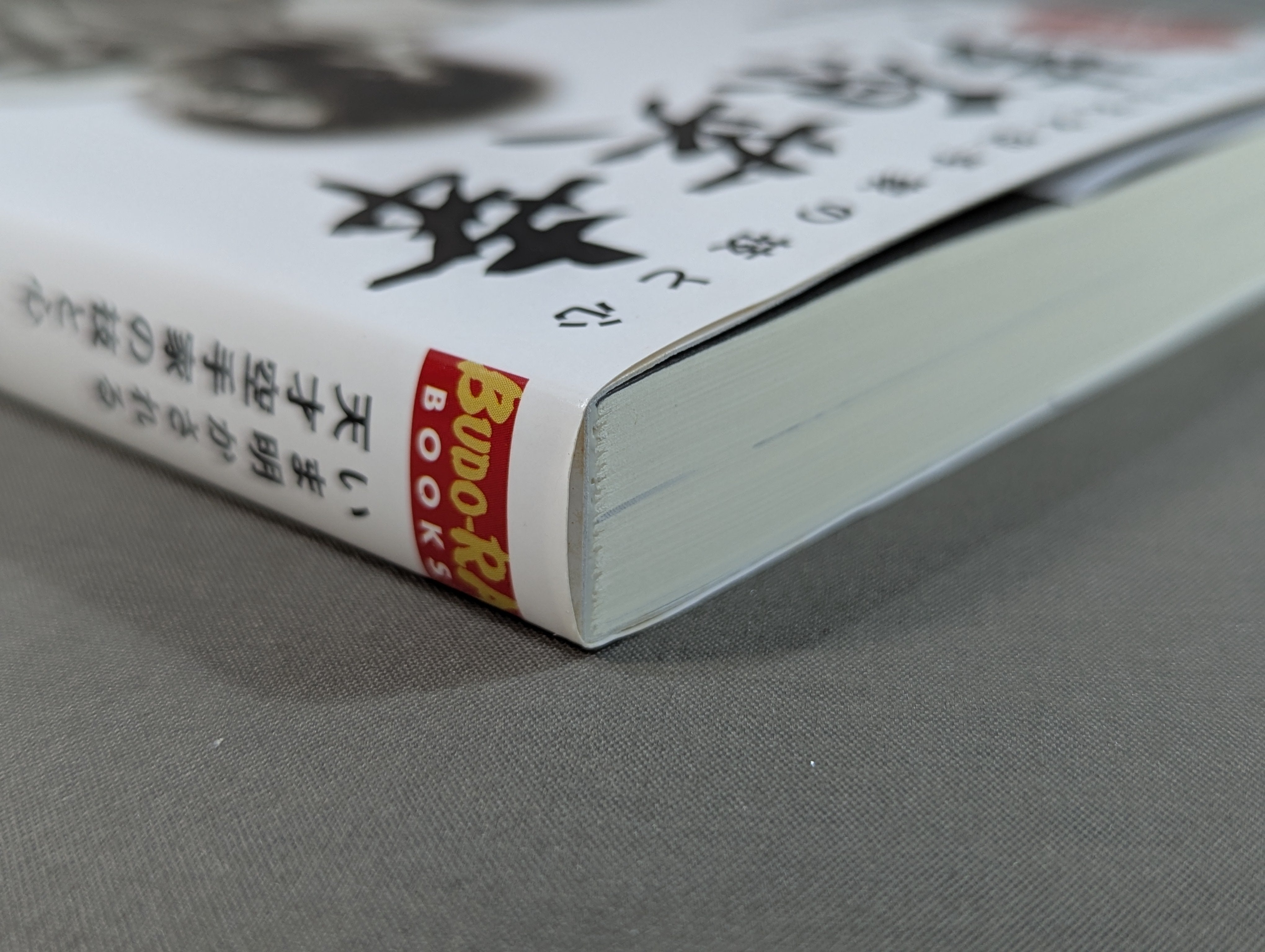 DVD付】新説!!芦原英幸 いま明かされる天才空手家の技と心 – 闘道館