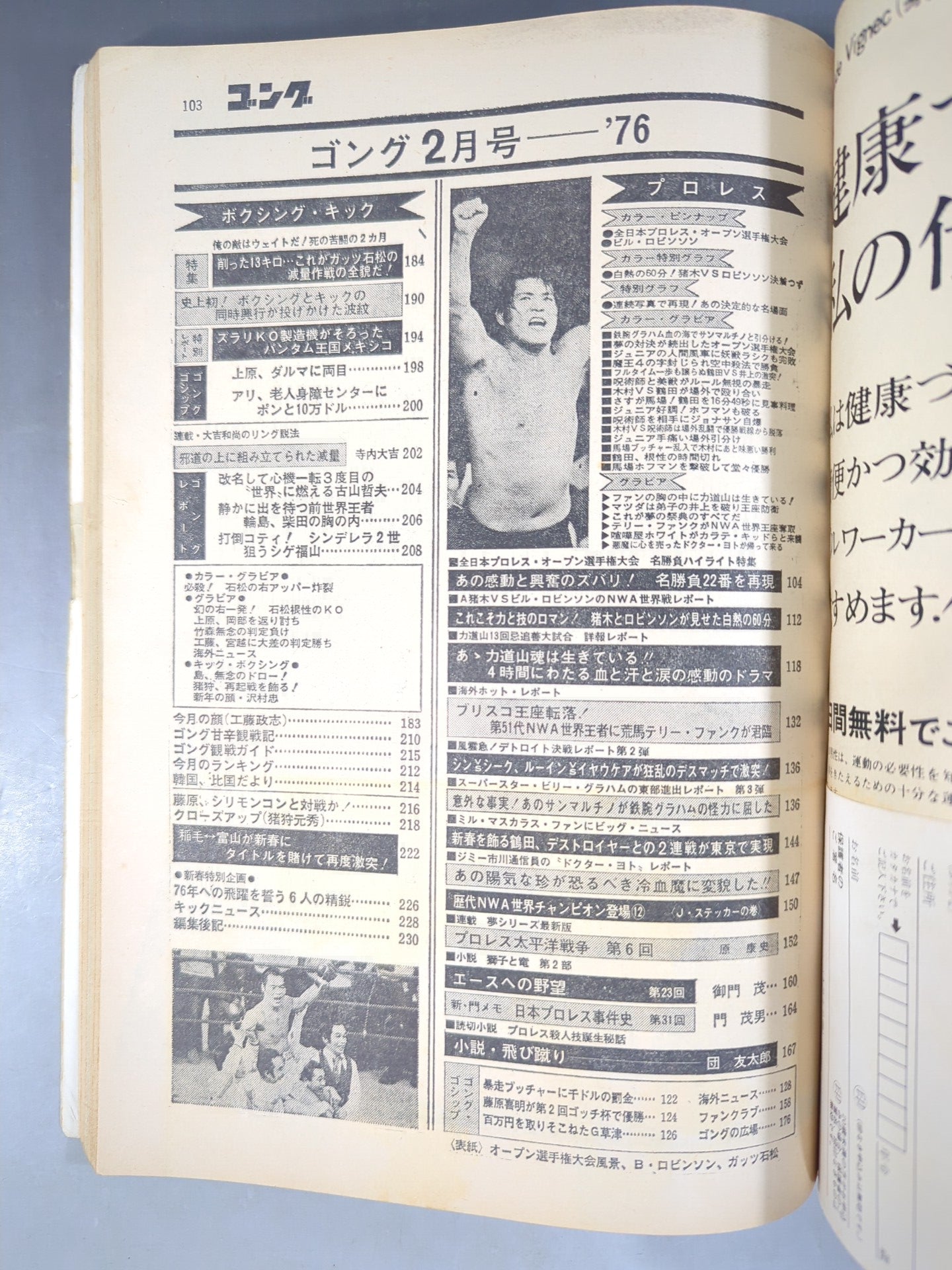 月刊ゴングVol.9 No.2