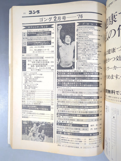 月刊ゴングVol.9 No.2