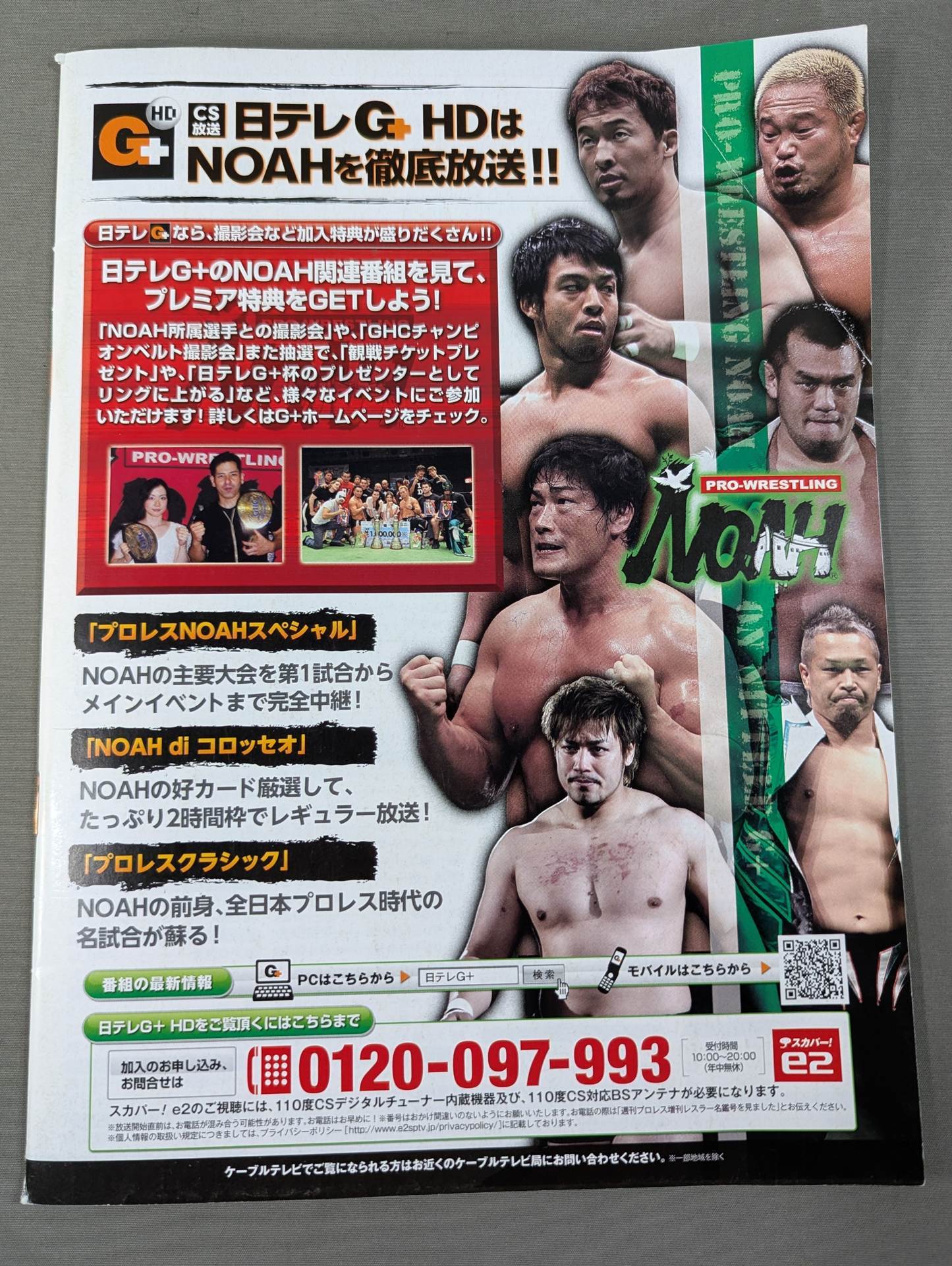 Pro Wrestler Color Photo Directory 2012
