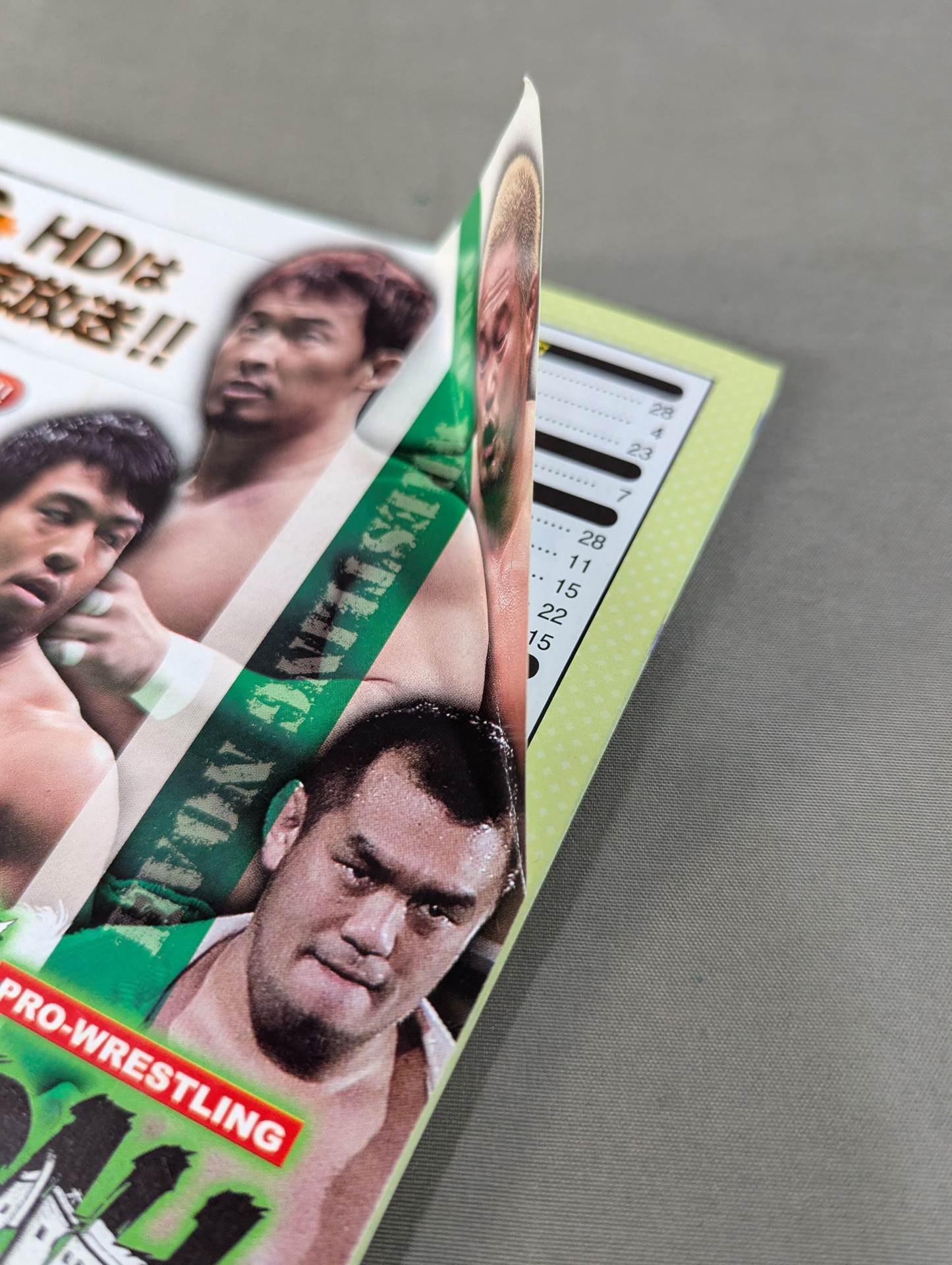 Pro Wrestler Color Photo Directory 2012