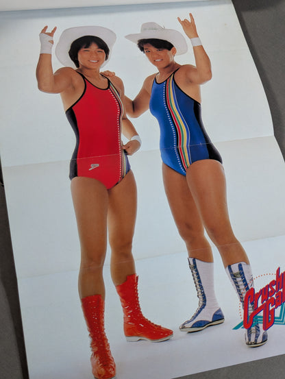 リングに投げキッス 女子プロレス30周年記念エキサイティング・グラフィティ