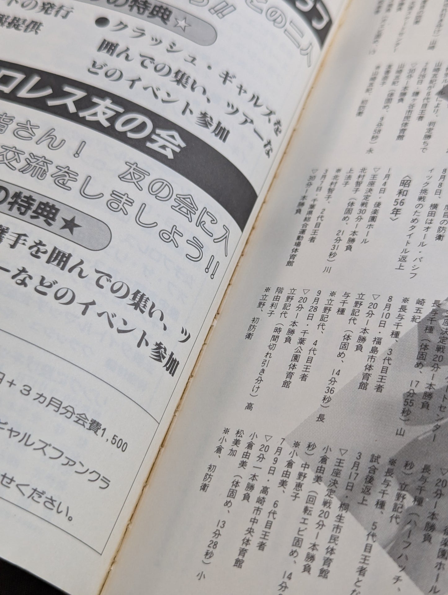 リングに投げキッス 女子プロレス30周年記念エキサイティング・グラフィティ