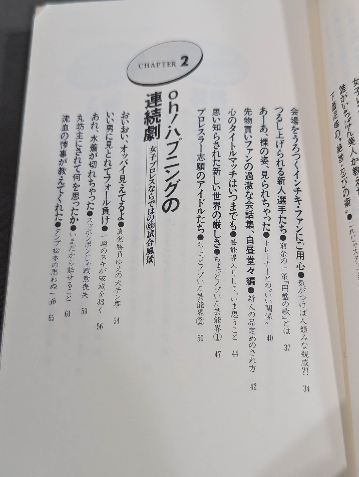 女子プロレス､ここまで喋っていいかしら
