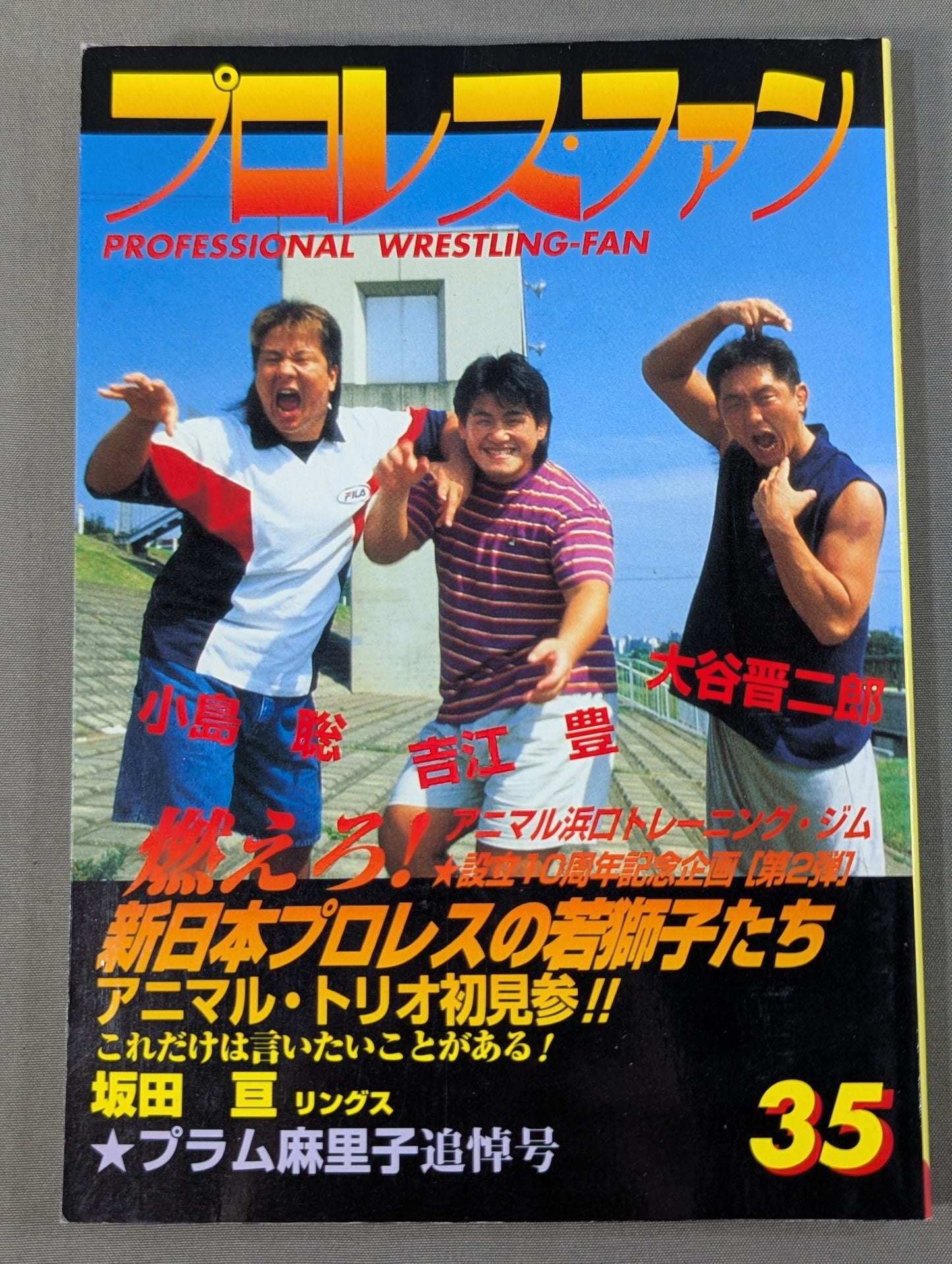 Pro Wrestling Fun 35