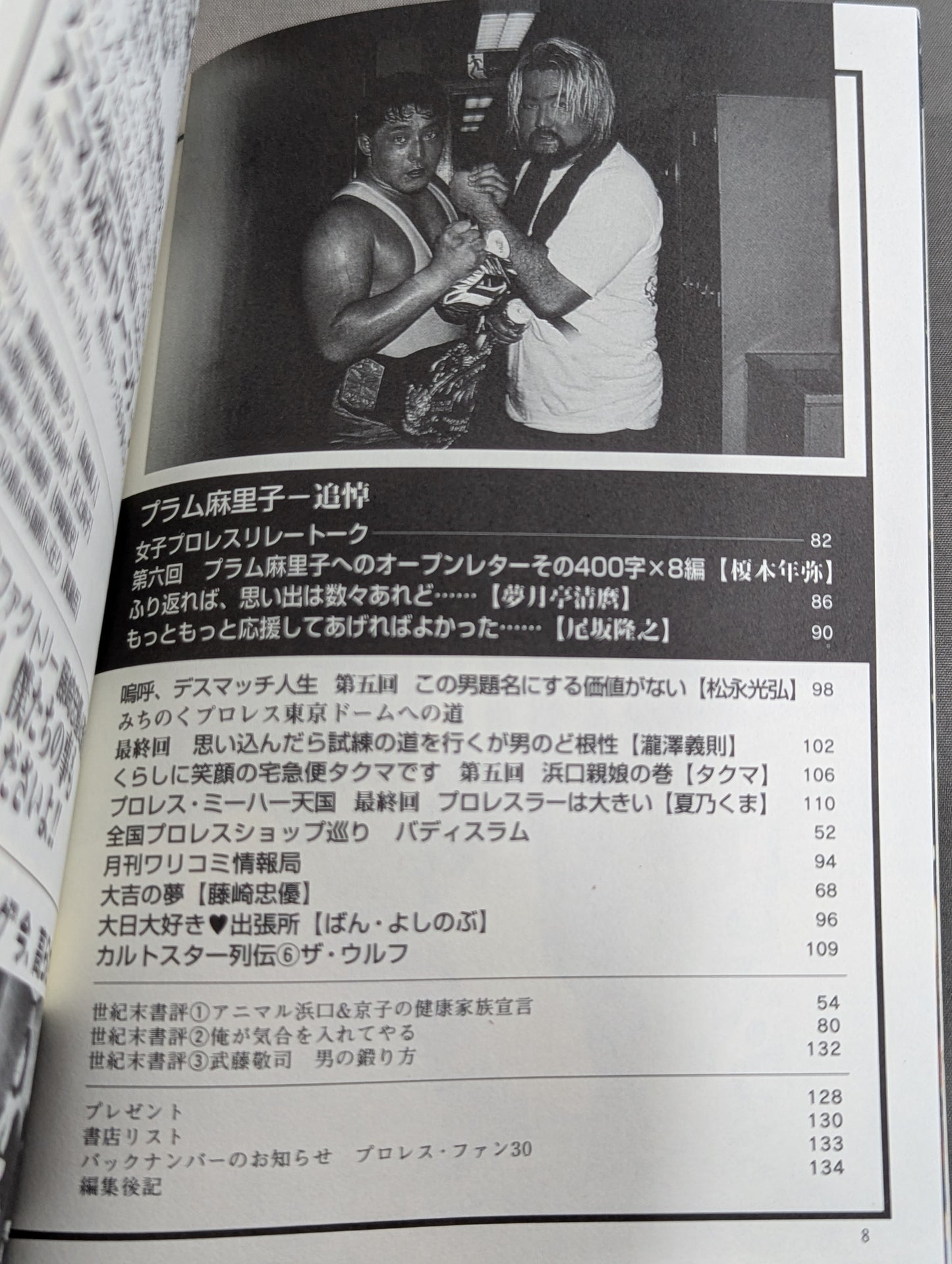 Pro Wrestling Fun 35