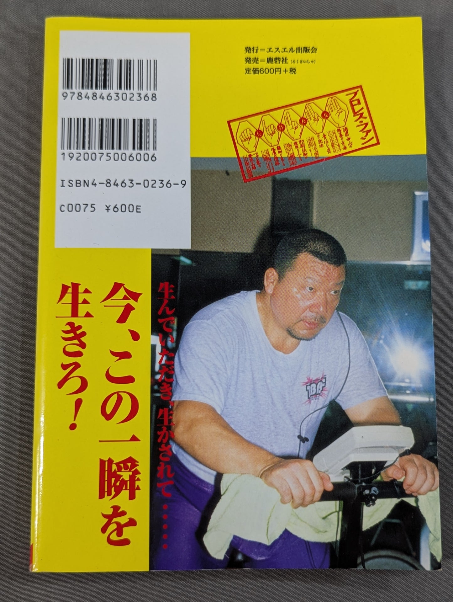 Pro Wrestling Fun 35
