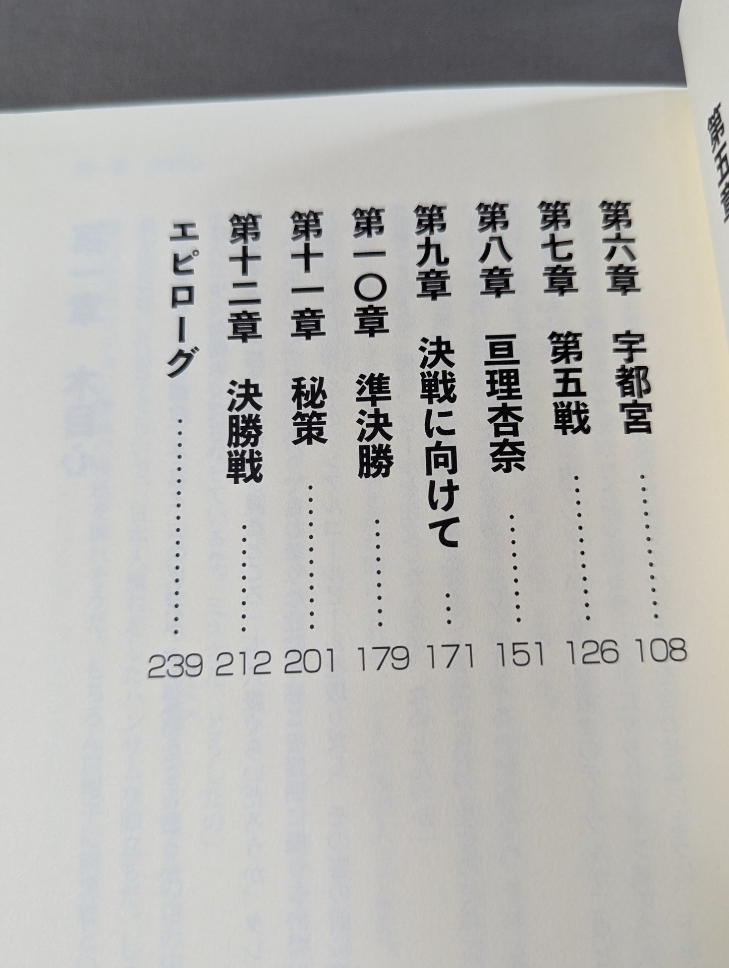 アウトロー  一匹狼から総合格闘技のスターへ