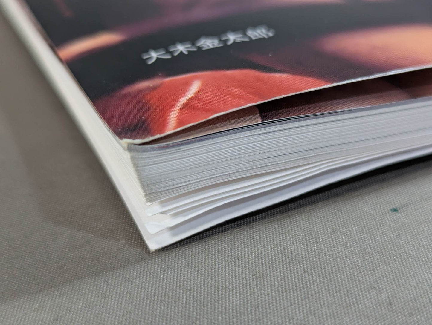 Dr. Mick's Showa Pro Wrestling Magazine No. ★ 50 Special Feature Showa Pro Wrestling Unsolved Case File ★