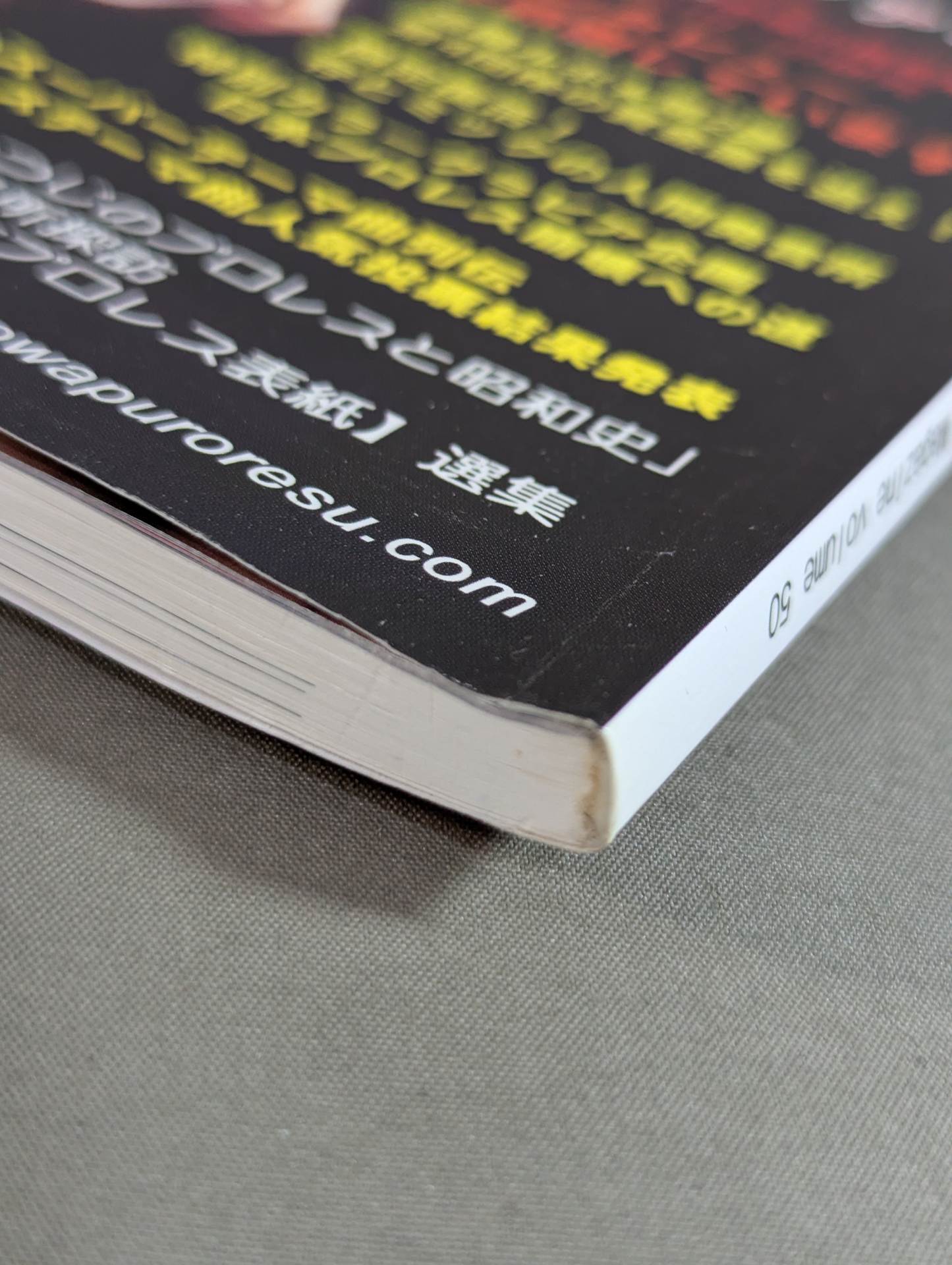 Dr. Mick's Showa Pro Wrestling Magazine No. ★ 50 Special Feature Showa Pro Wrestling Unsolved Case File ★