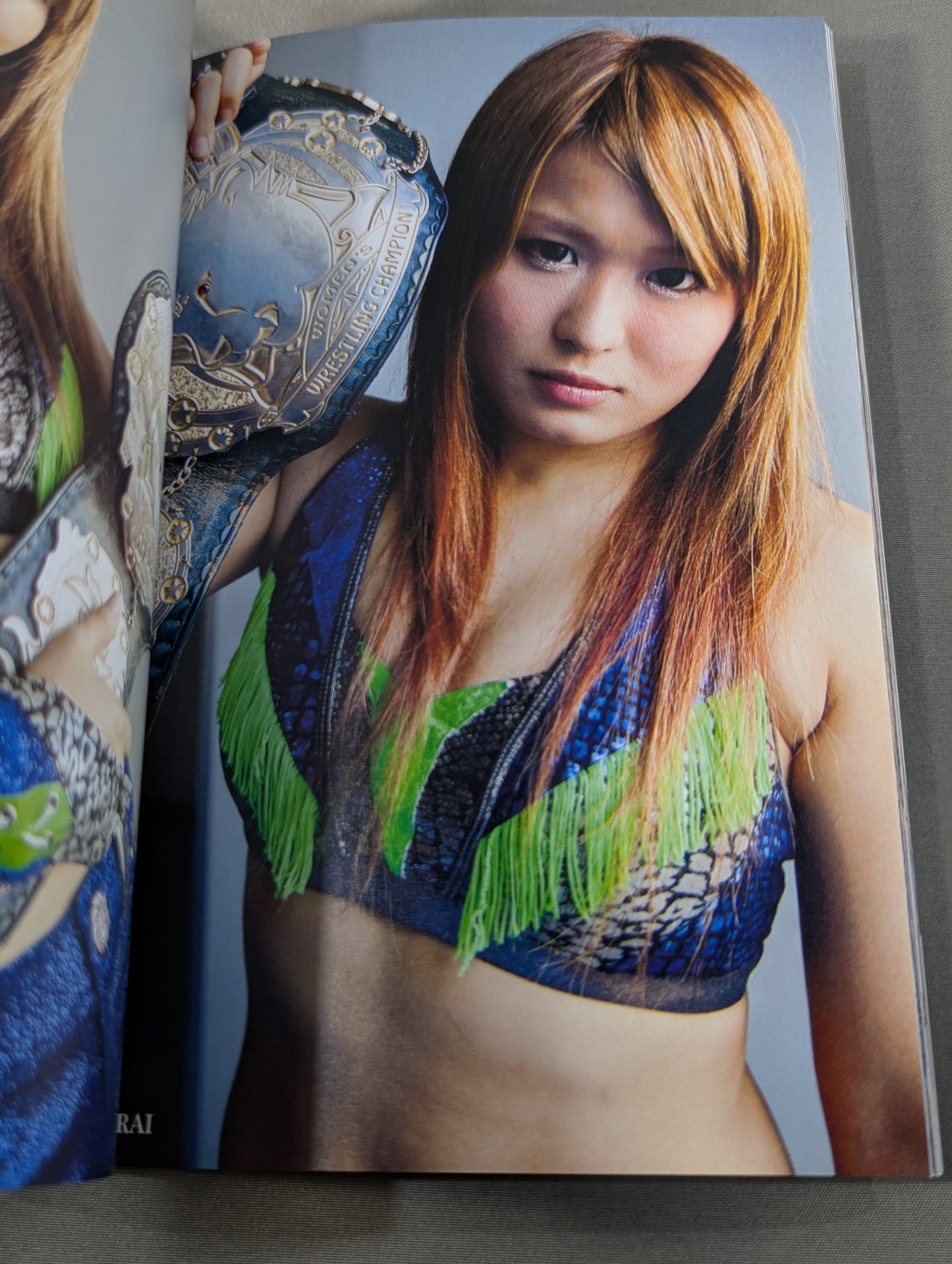 STARDOM PHOTO BOOK From Stardom’s Shadow