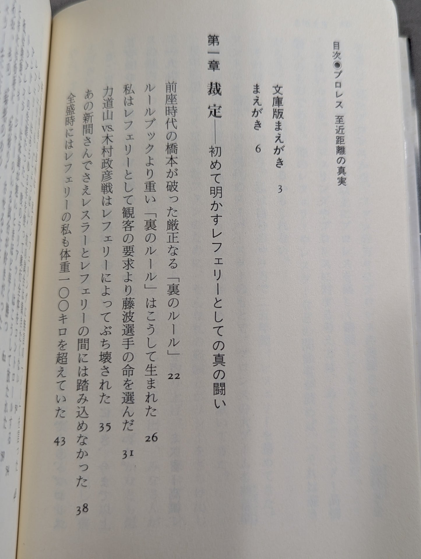 プロレス  至近距離の真実  レフェリーだけが知っている表と裏