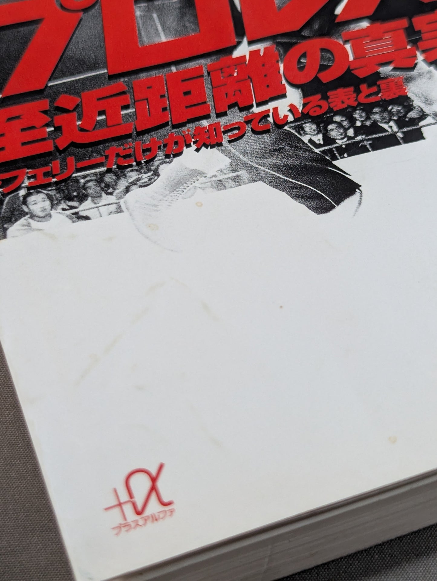 プロレス  至近距離の真実  レフェリーだけが知っている表と裏