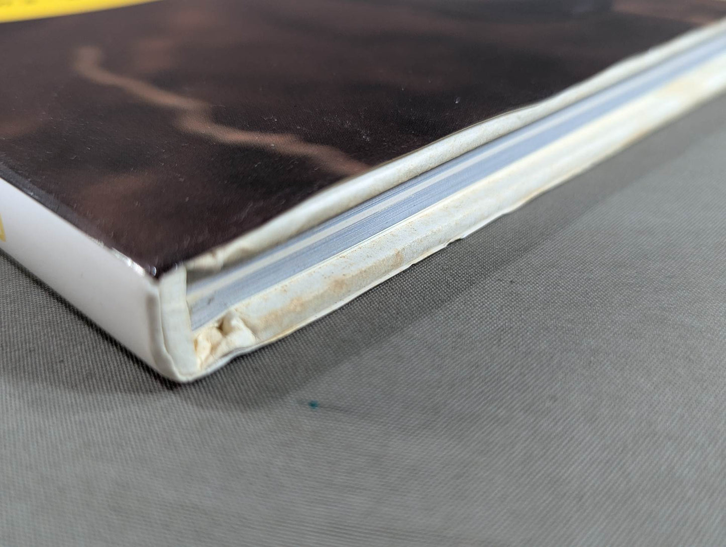 Cutie Suzuki photo collection Cute-2