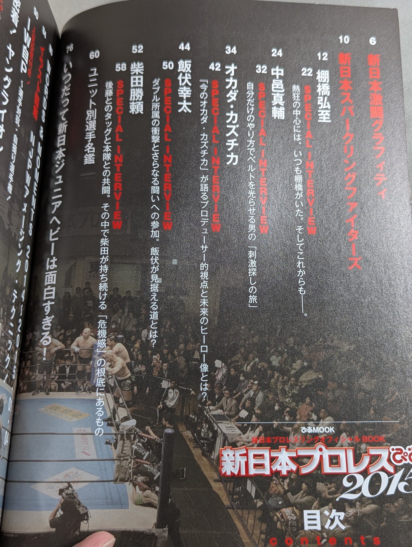 新日本プロレスぴあ2015