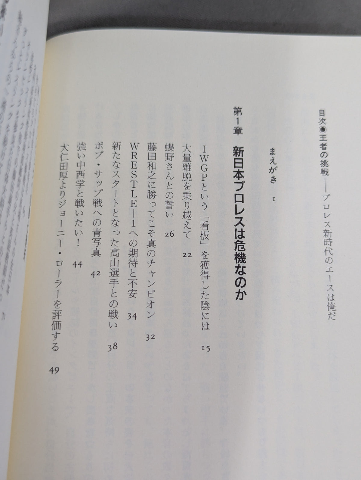 王者の挑戦 プロレス新時代のエースは俺だ