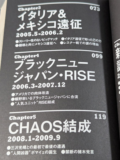 中邑真輔自伝 キング・オブ・ストロングスタイル 2005-2014 下巻