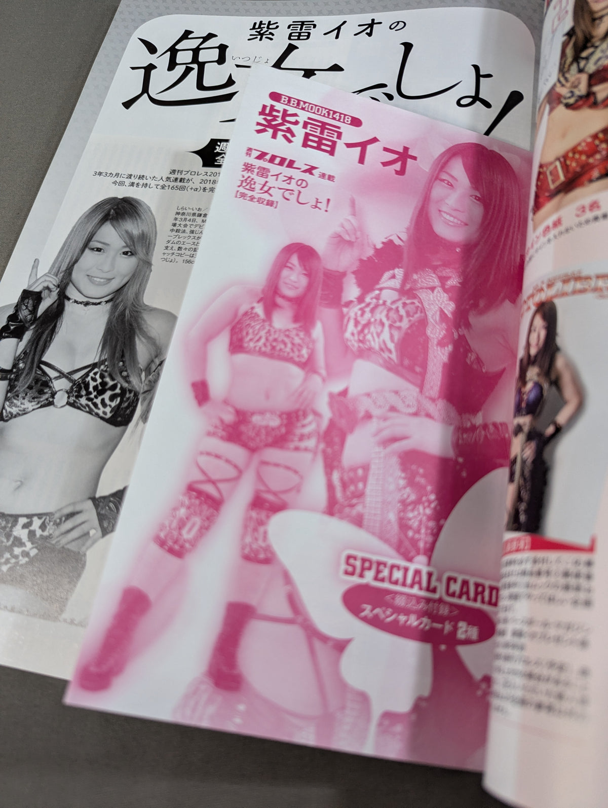 紫雷イオ 週刊プロレス連載「紫雷イオの逸女でしょ!」完全収録