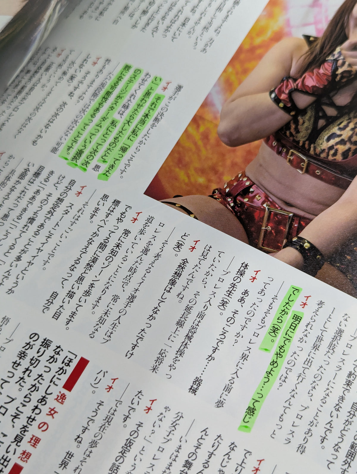 紫雷イオ 週刊プロレス連載「紫雷イオの逸女でしょ!」完全収録