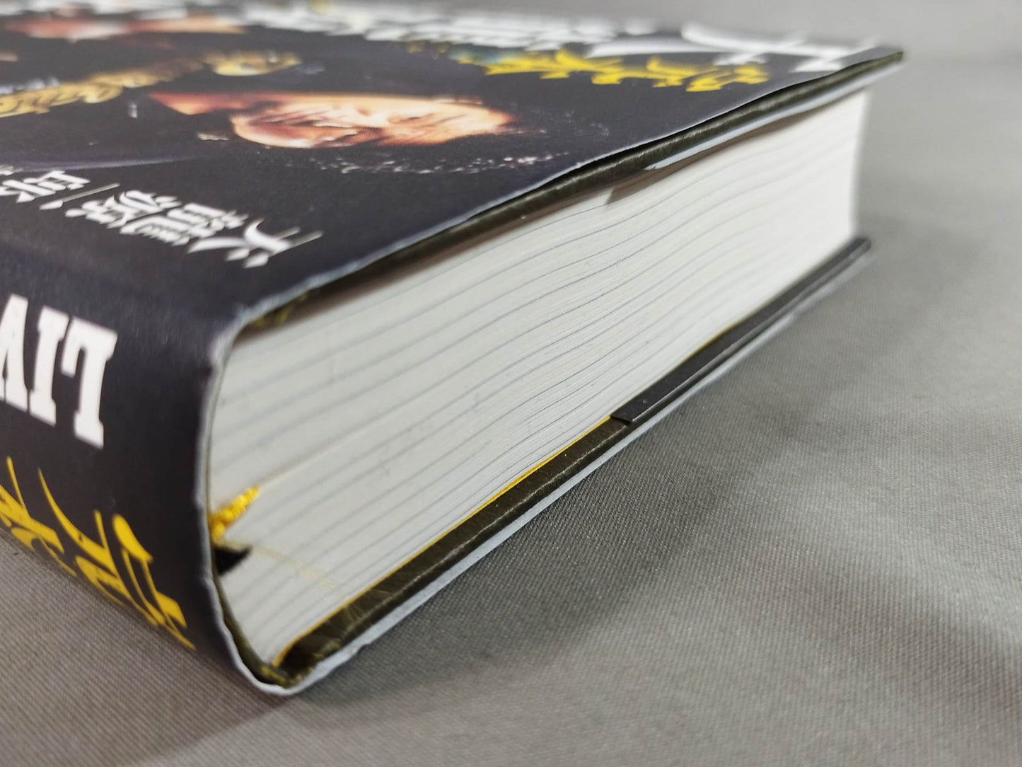 Complete book Tenryu Genichiro  LIVE FOR TODAY