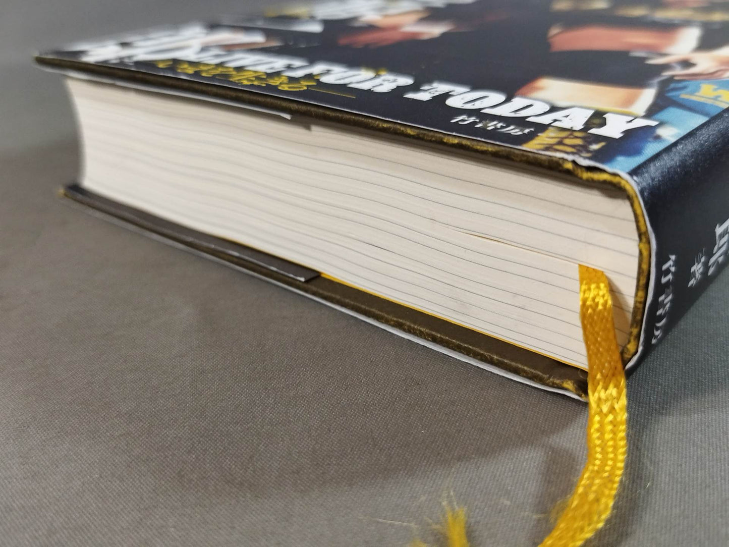 Complete book Tenryu Genichiro  LIVE FOR TODAY