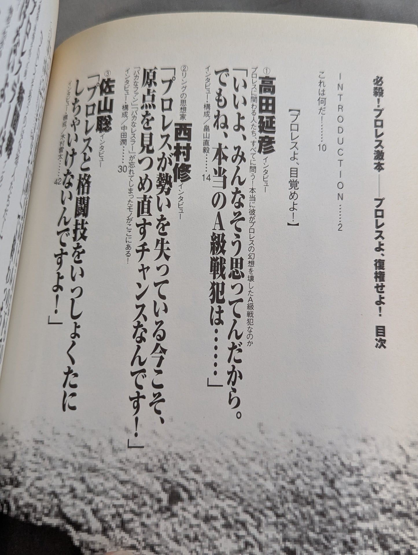 必殺！プロレス激本 誰もやらない全日&パンクラス徹底批判
