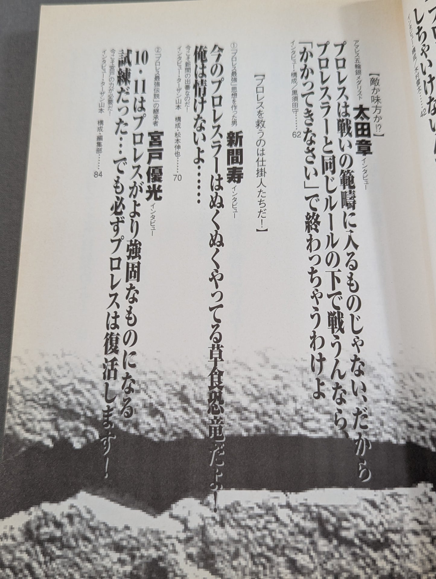 必殺！プロレス激本 誰もやらない全日&パンクラス徹底批判
