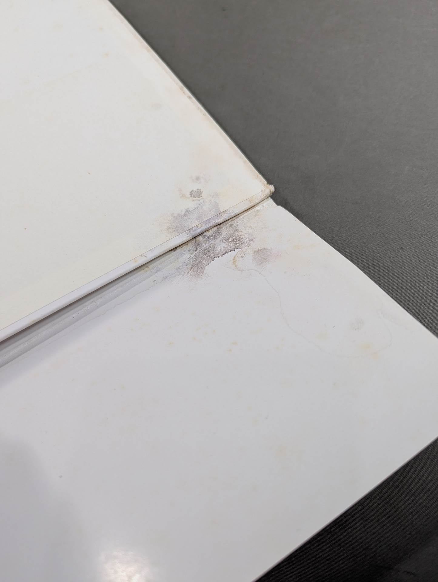 Megumi Kudo  photo  Episode Still Dream