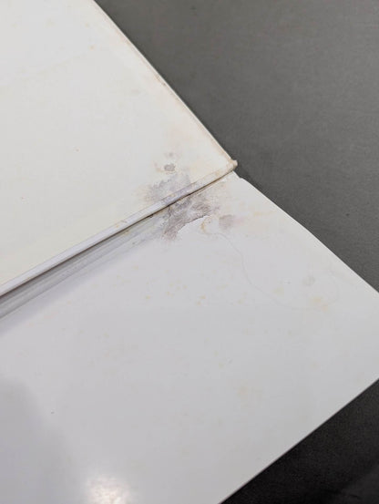 Megumi Kudo  photo  Episode Still Dream