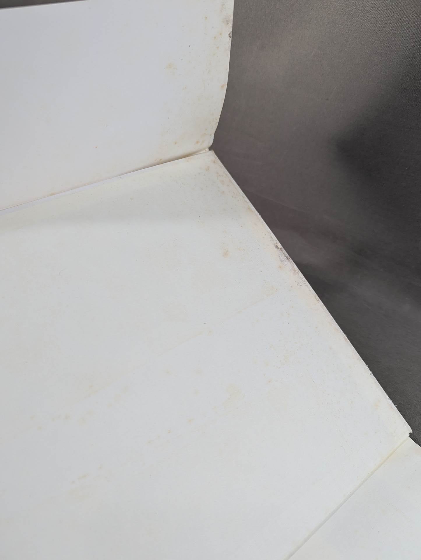 Megumi Kudo  photo  Episode Still Dream