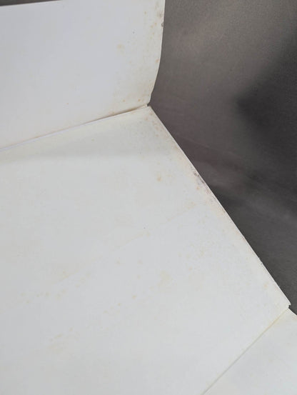 Megumi Kudo  photo  Episode Still Dream