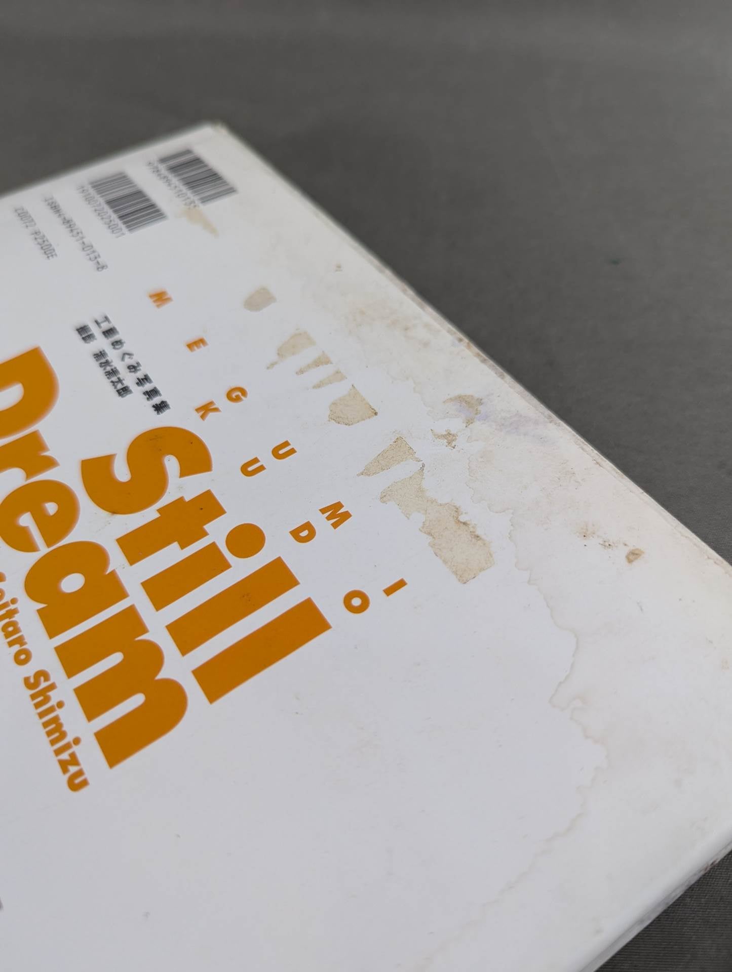 Megumi Kudo  photo  Episode Still Dream