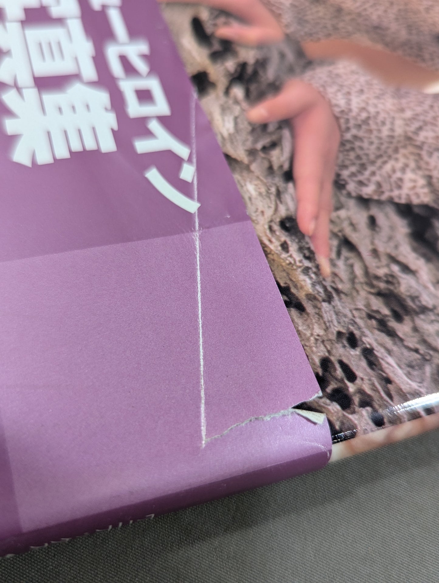 福岡晶 写真集  DO IT!