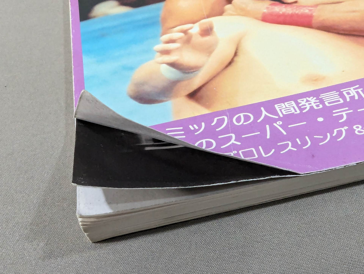 ミック博士の昭和プロレスマガジン第22号 ★特集 昭和56年 レスリング・ウォー勃発!★