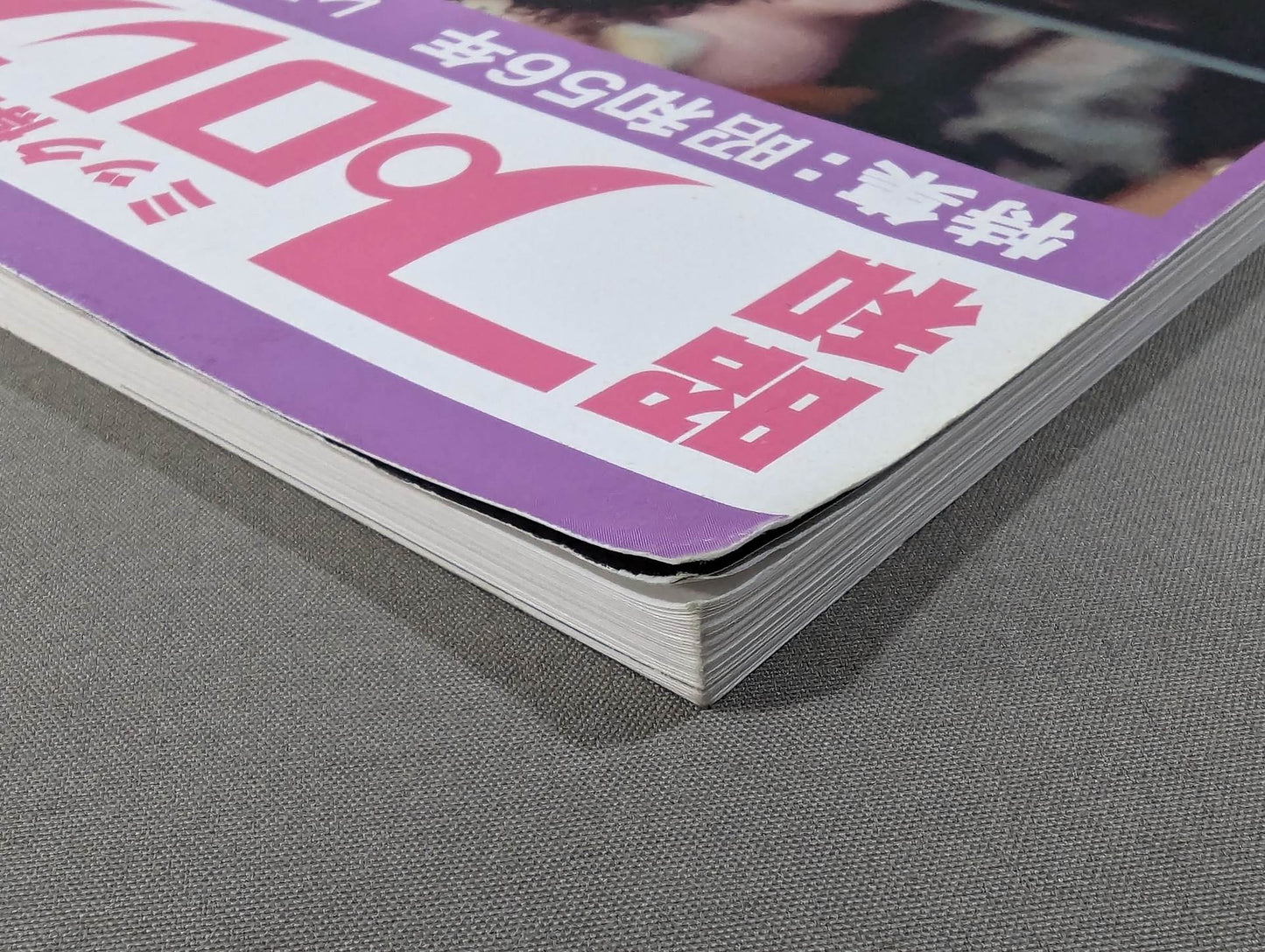 ミック博士の昭和プロレスマガジン第22号 ★特集 昭和56年 レスリング・ウォー勃発!★