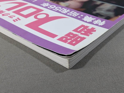 ミック博士の昭和プロレスマガジン第22号 ★特集 昭和56年 レスリング・ウォー勃発!★