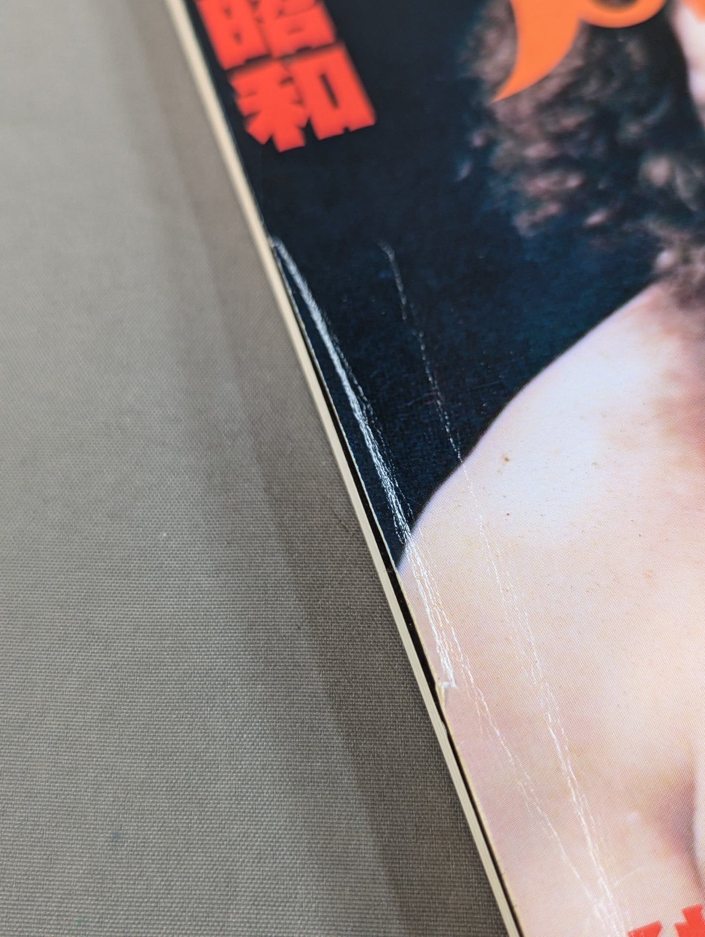 Dr. Mick's Showa Pro Wrestling Magazine No. ★ 30 Special Feature New Japan Pro Wrestling ・Inoki Myth Collapse ★