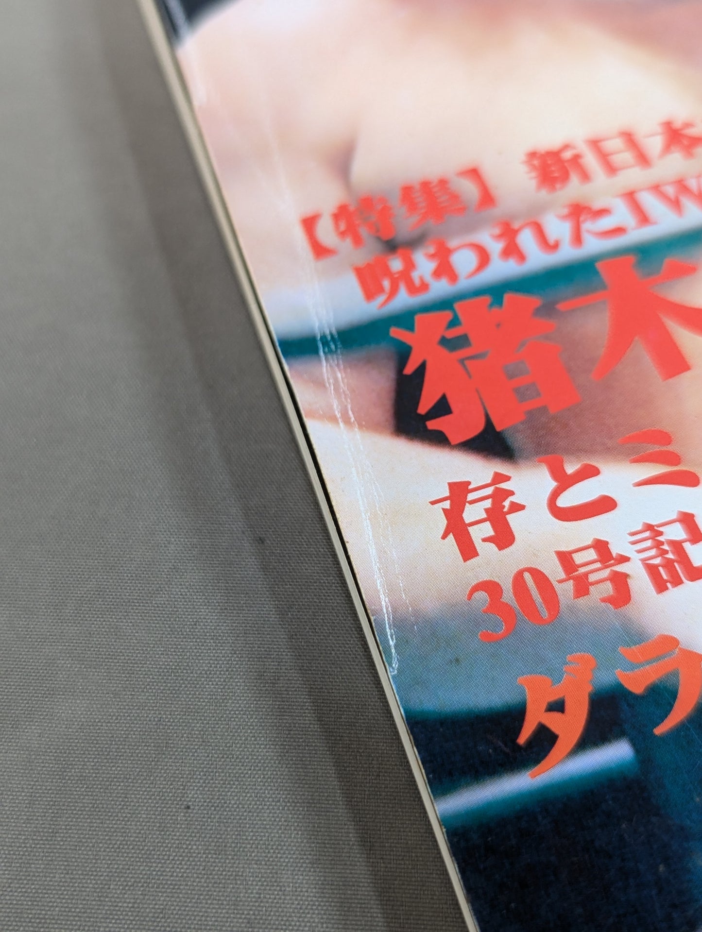 Dr. Mick's Showa Pro Wrestling Magazine No. ★ 30 Special Feature New Japan Pro Wrestling ・Inoki Myth Collapse ★