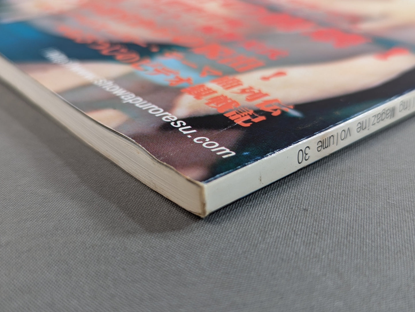 Dr. Mick's Showa Pro Wrestling Magazine No. ★ 30 Special Feature New Japan Pro Wrestling ・Inoki Myth Collapse ★