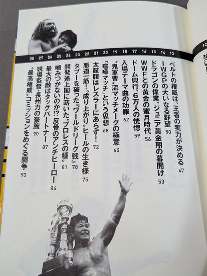 詳説 新日イズム 完全版