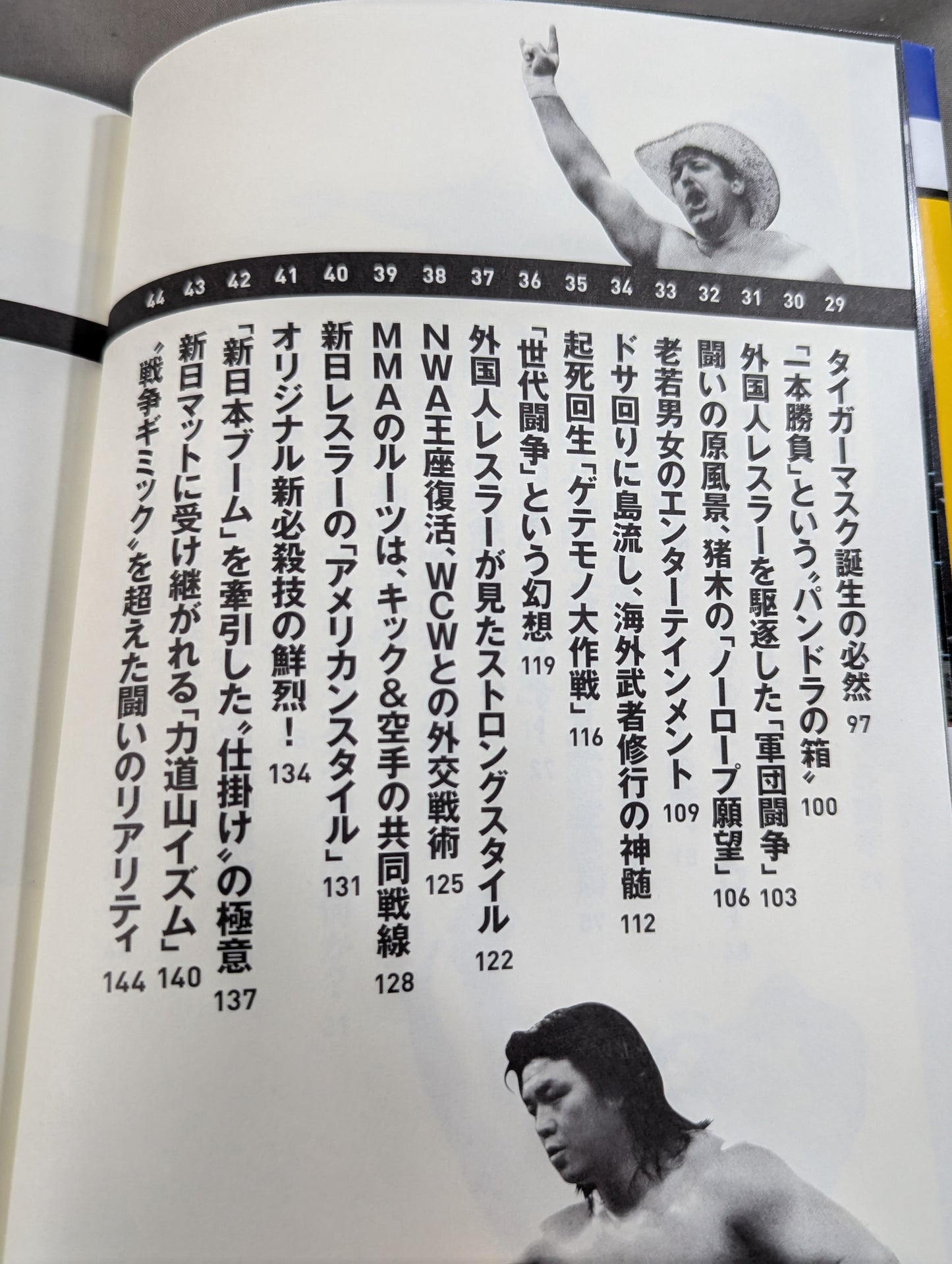 詳説 新日イズム 完全版