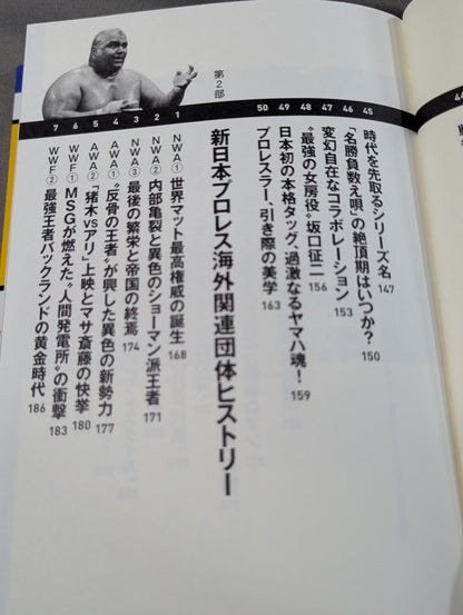 詳説 新日イズム 完全版