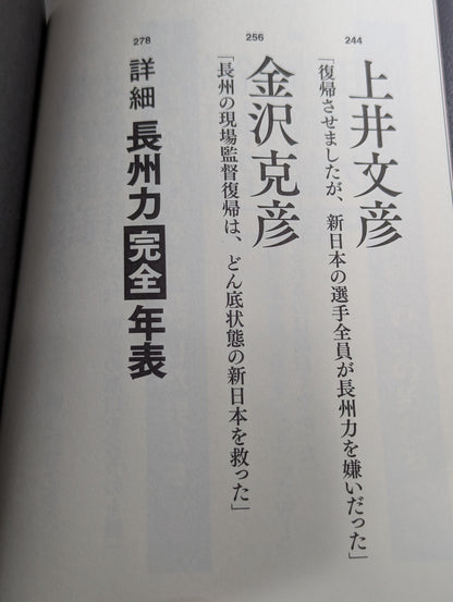 証言 長州力「革命戦士」の虚と実
