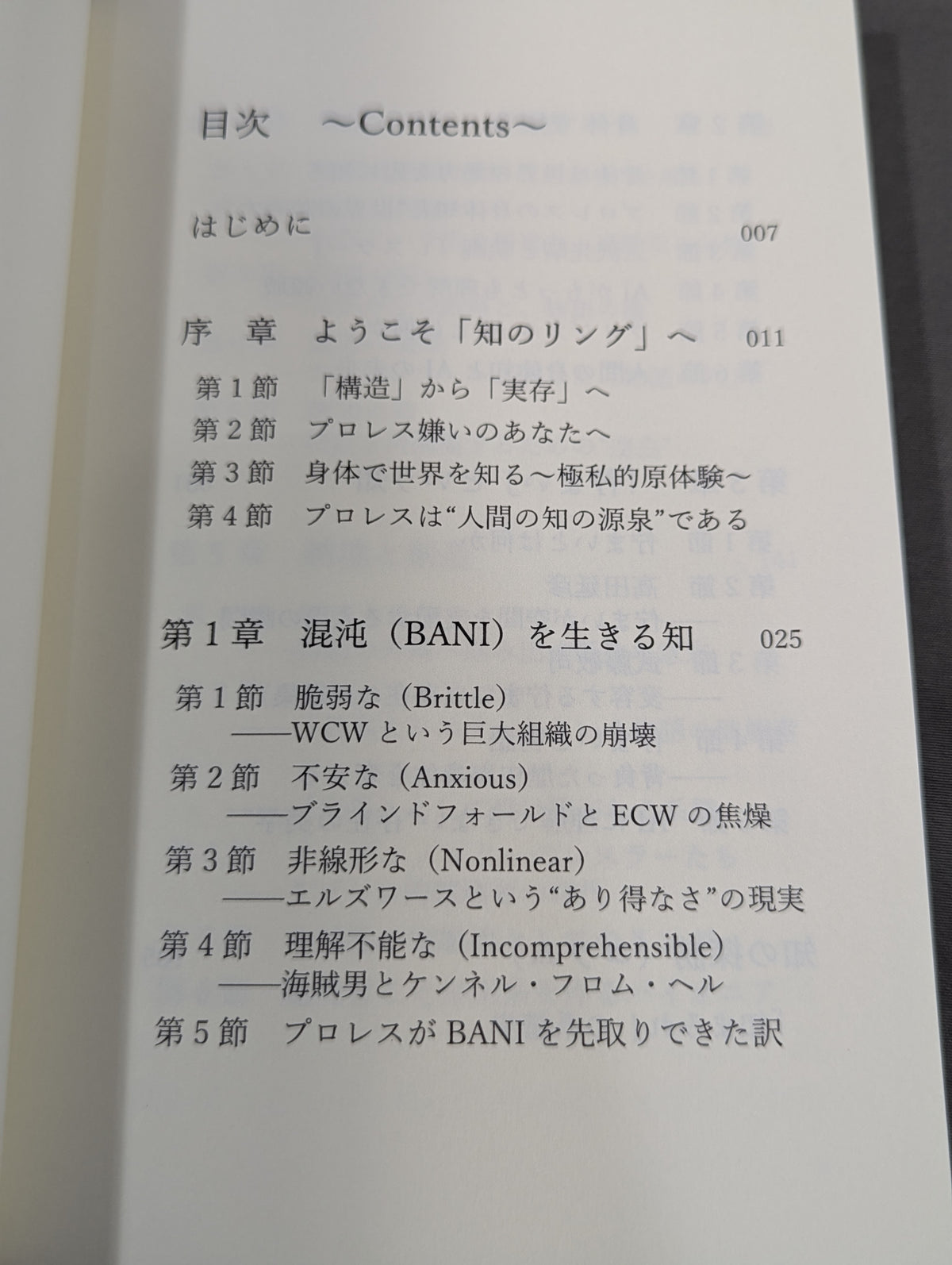 知まみれのリング  プロレス思考２